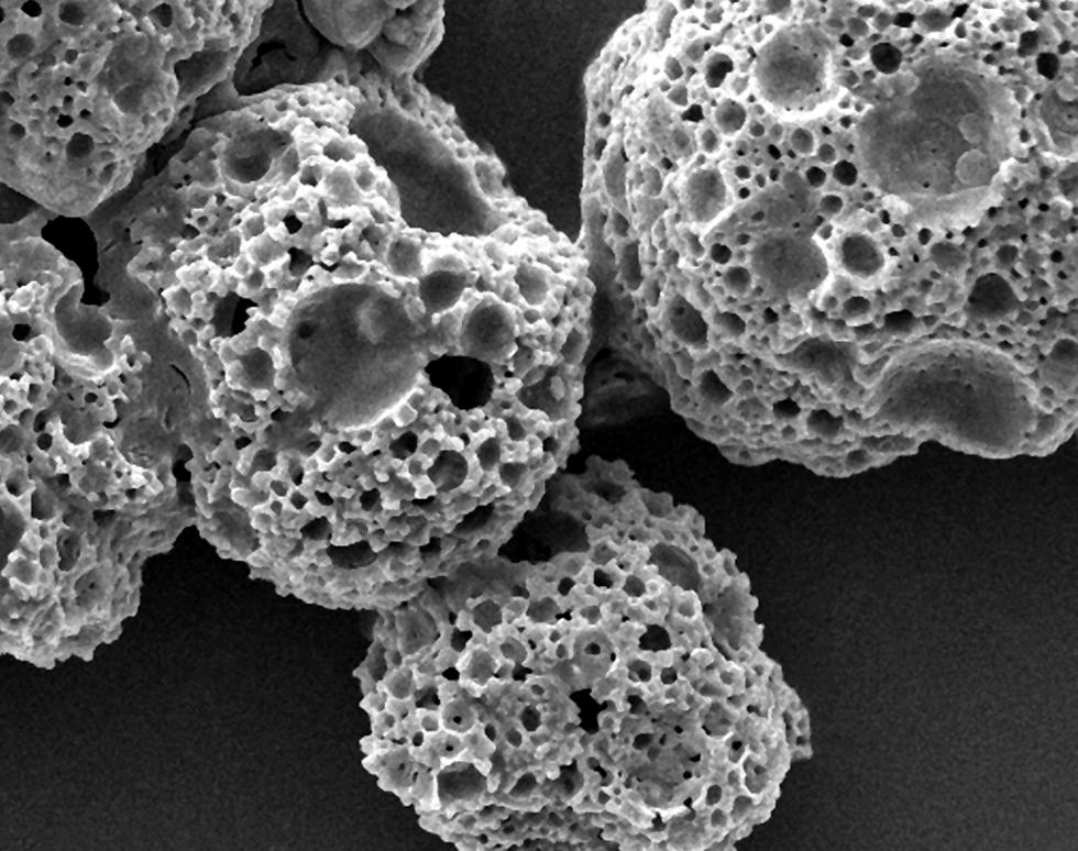 Synthetic Plankton Shell - David Green